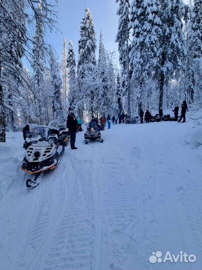 Путешествия на снегоходе