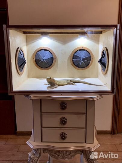 Игра угадай что в коробке, коробка фанбокс