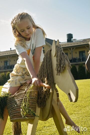 Лошадка amigo