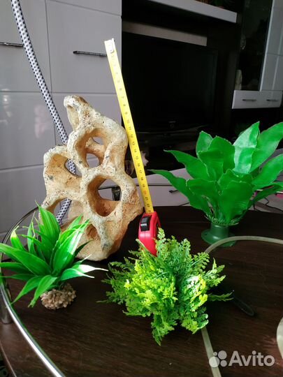 Для аквариума