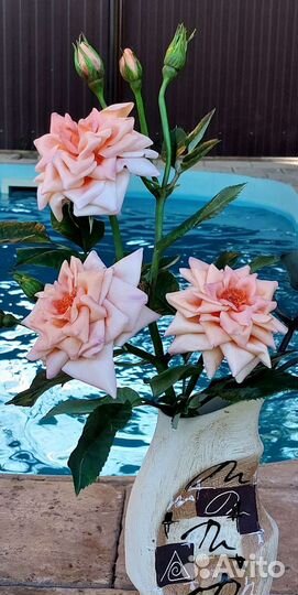 Холодный фарфор цветы