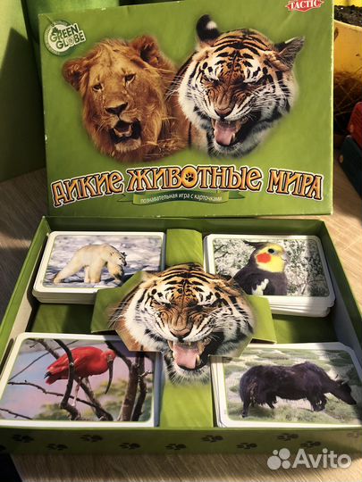 Познавательная игра дикие животные мира