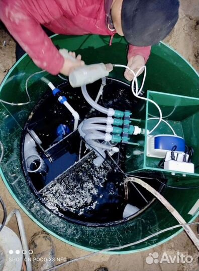 Септик для дома цена