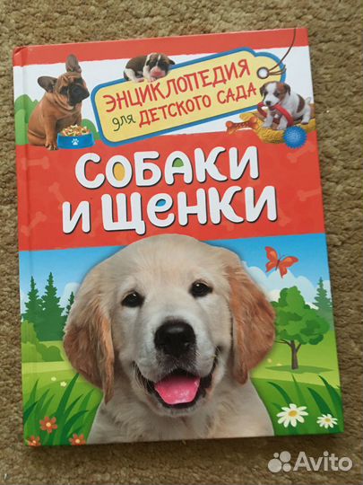 Книги для первого чтения ребенка