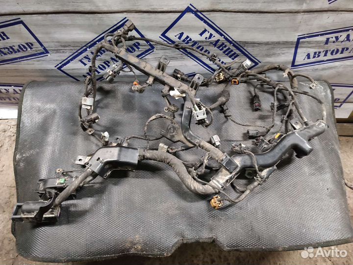 Проводка двс Kia Quoris 3.8 2012-2018