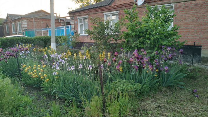 Коттедж 76,1 м² на участке 10,85 га