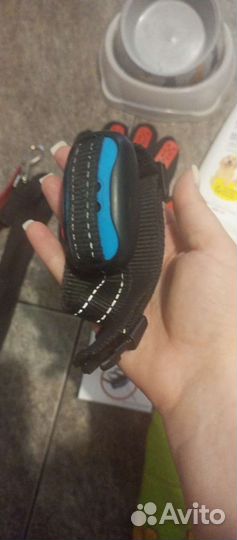 Все для собак