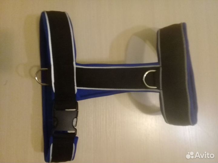 Шлейки и амуниция для собак