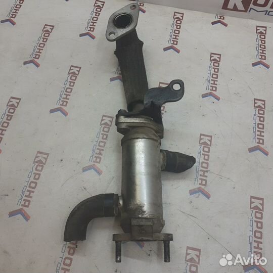 Радиатор системы EGR hyundai terracan