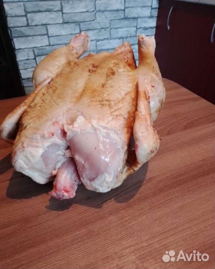 Домашние куры бройлеры