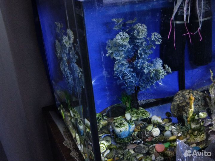Аквариум