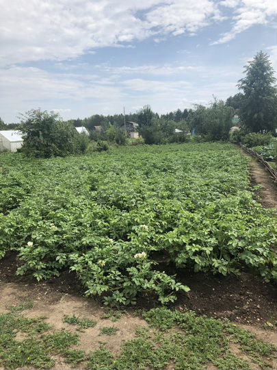 Участок 10 сот. (СНТ, ДНП)