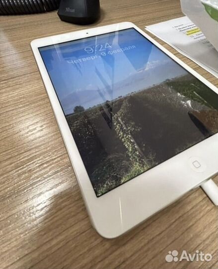 iPad mini 2 retina