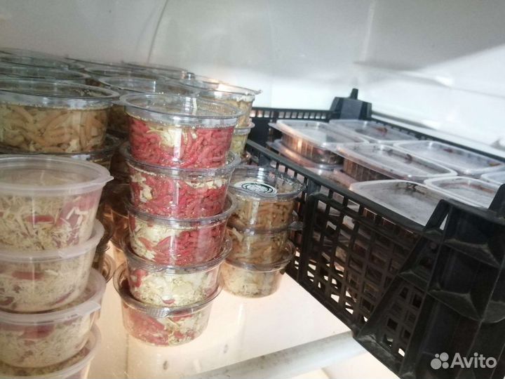 Живец карася