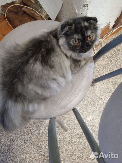 Родилась в апреле