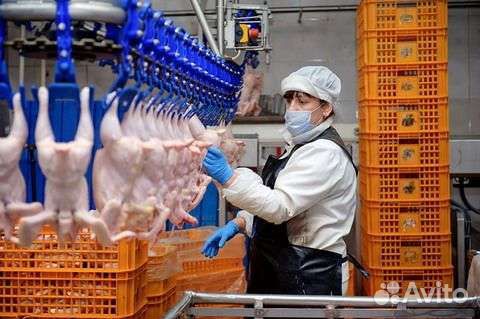 Оператор линии Вахта Челябинская обл проживание