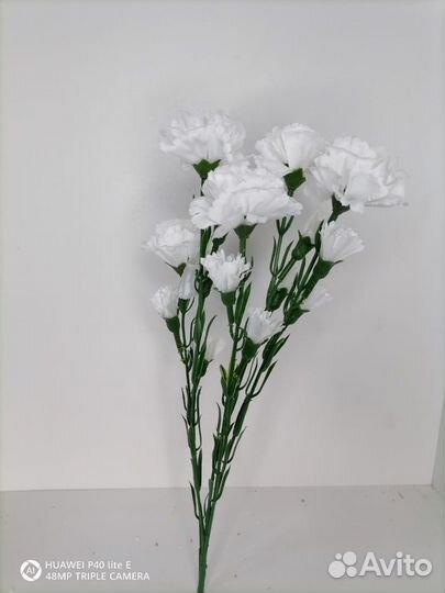 Ветка гвоздик натуральных