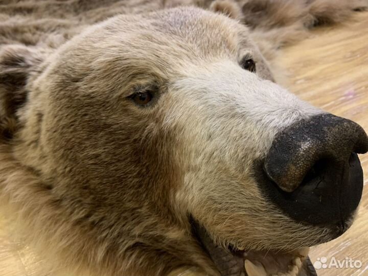 Имитация шкуры медведя