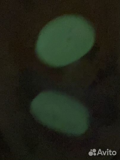 Соска пустышка avent 0 6