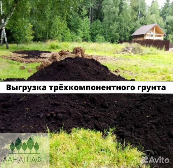 Рулонный газон прямо с поля Щелково