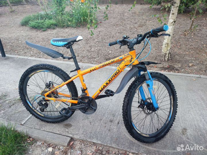 Stels navigator 610 и hallcat 24 maxpro