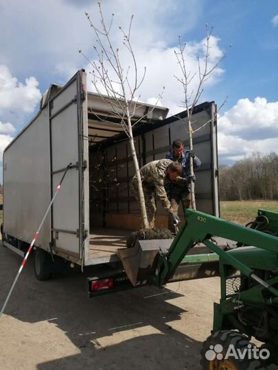 Грузоперевозки газель 6 метров открытый борт