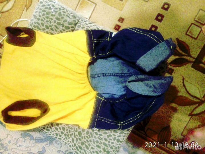 Джинсовый комбинезон для собак