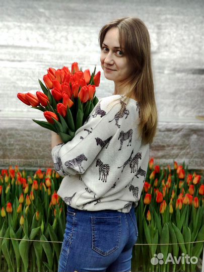 Тюльпаны к 8 марта