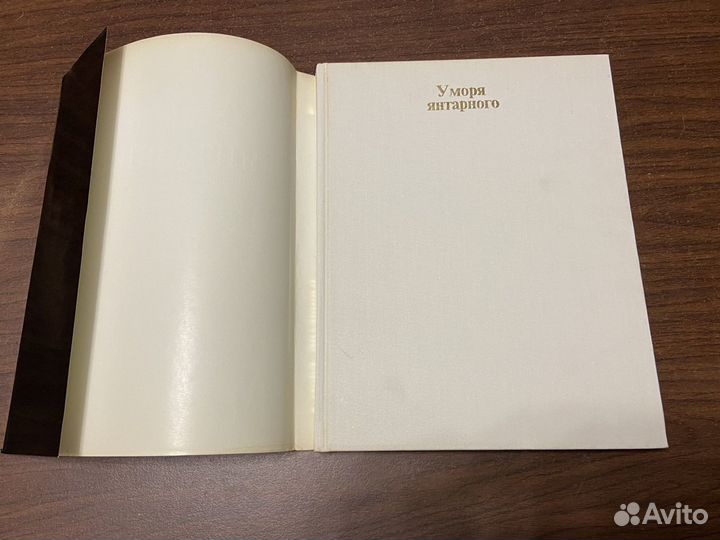 У моря янтарного. Фотоочерк о земле Калининградско