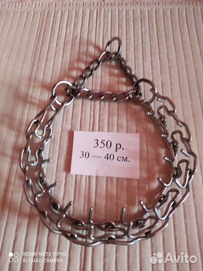 Ошейник строгий