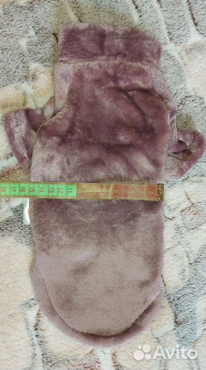 Одежда для животных размер S