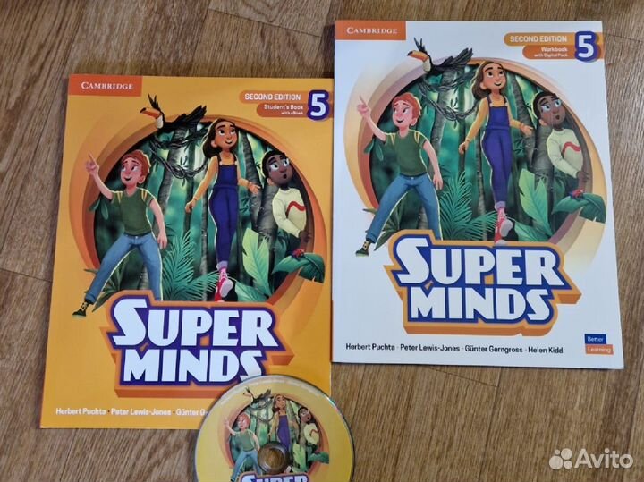 Super minds 5 level second edition