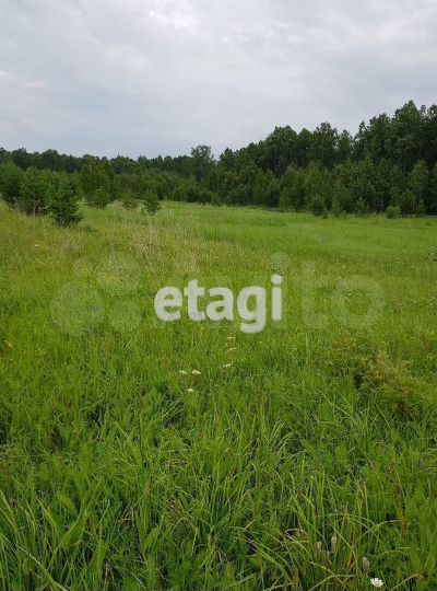 Участок 10,4 сот. (личное подсобное хозяйство (лпх))