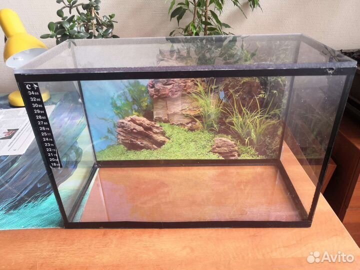 Аквариум