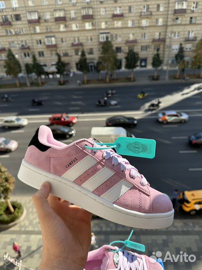 Adidas campus '00s bliss lilac оригинал