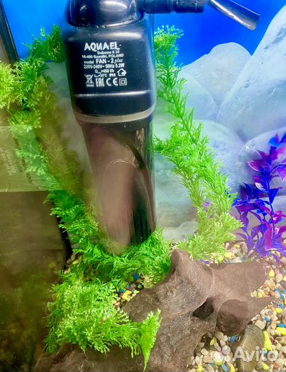 Аквариум