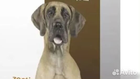 Пуллер, переноска, Флекси рулетка, игрушки