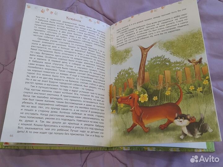 Книга проделки шнапа