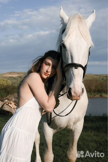 Конные прогулки