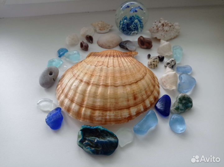 Ракушки раковины стеклянные камушки для аквариума