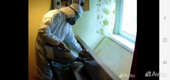 Дезинфекция