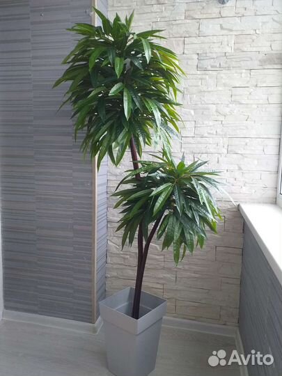 Искусственное дерево манго узколистный, персик