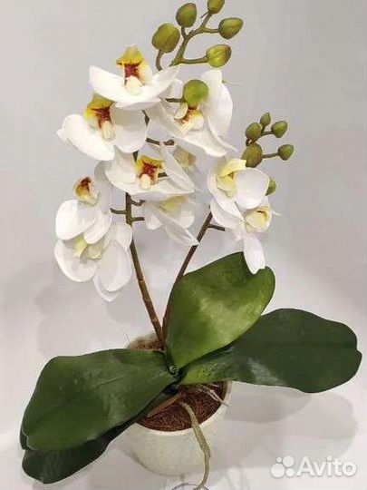 Орхидея искусственная реал тач