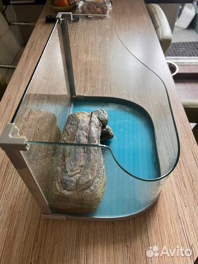 Акватеррариум для черепахи