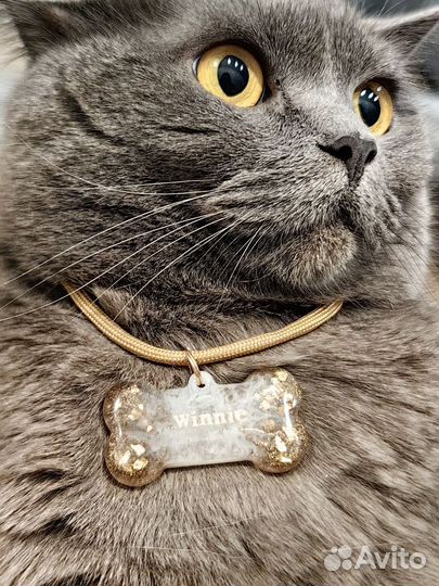 Адресники для собак из ювелирной смолы