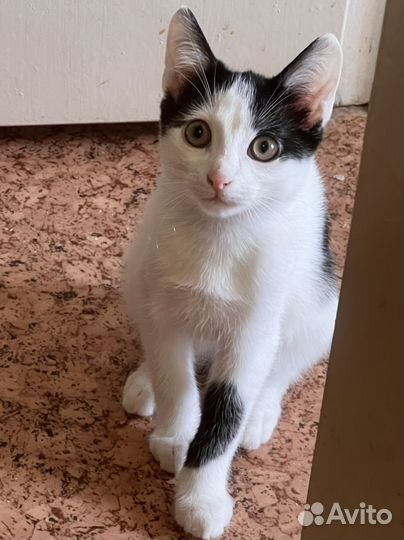 Мальчик красавчик