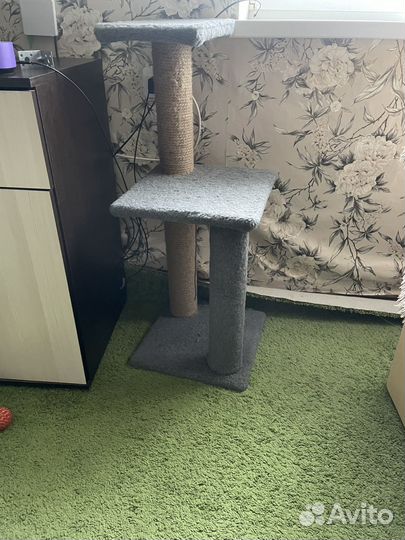 Когтеточка