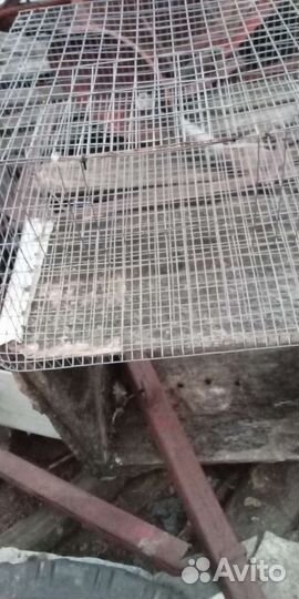 Клетки для перепелов несушек