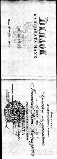 Репетитор по русскому языку или литературе. Доцент