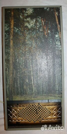 Громкоговоритель юность, радио